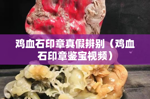 雞血石印章真假辨別（雞血石印章鑒寶視頻）
