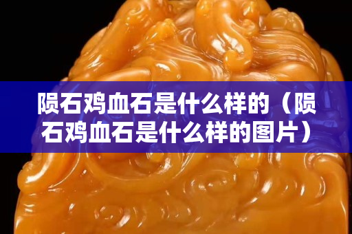 隕石雞血石是什么樣的（隕石雞血石是什么樣的圖片）