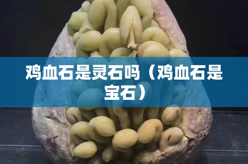 雞血石是靈石嗎（雞血石是寶石）