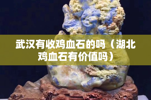 武漢有收雞血石的嗎（湖北雞血石有價值嗎）