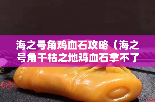 海之號角雞血石攻略（海之號角干枯之地雞血石拿不了）