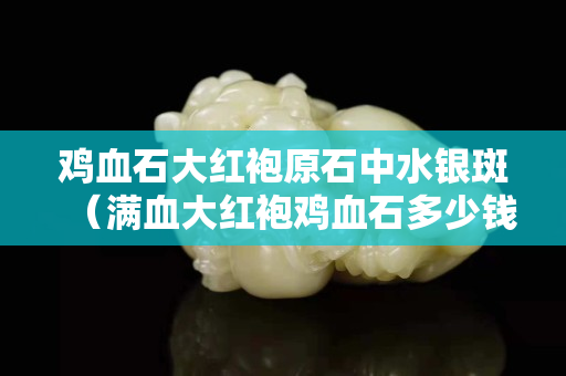 雞血石大紅袍原石中水銀斑（滿血大紅袍雞血石多少錢一塊）
