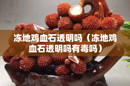 凍地雞血石透明嗎（凍地雞血石透明嗎有毒嗎）