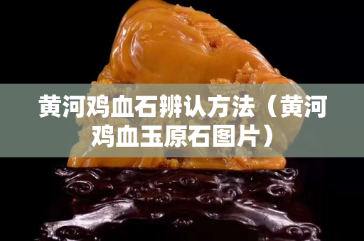 黃河雞血石辨認方法（黃河雞血玉原石圖片）