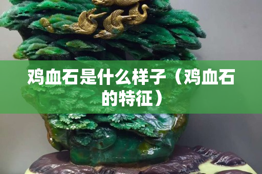 雞血石是什么樣子（雞血石的特征）