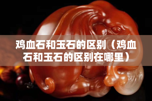 雞血石和玉石的區別（雞血石和玉石的區別在哪里）
