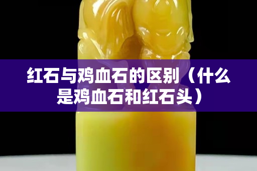 紅石與雞血石的區別（什么是雞血石和紅石頭）