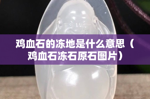 雞血石的凍地是什么意思（雞血石凍石原石圖片）