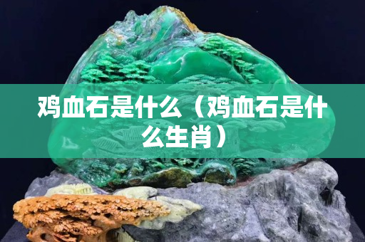 雞血石是什么（雞血石是什么生肖）