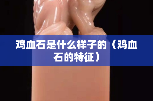 雞血石是什么樣子的（雞血石的特征）