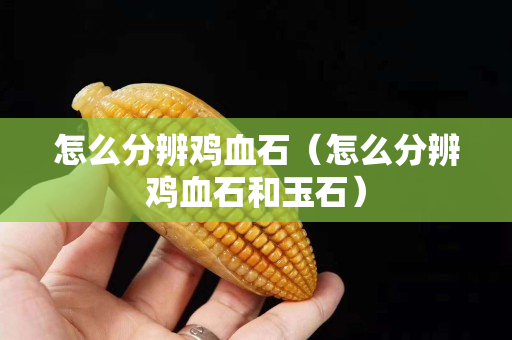 怎么分辨雞血石（怎么分辨雞血石和玉石）