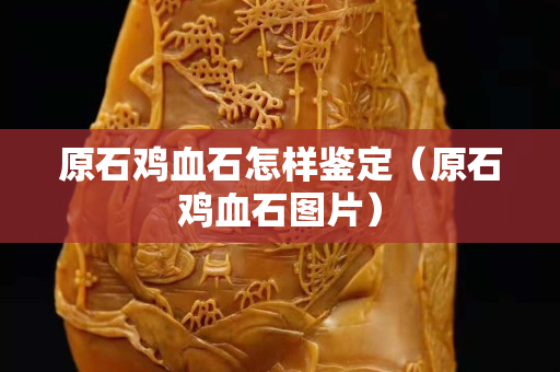 原石雞血石怎樣鑒定（原石雞血石圖片）
