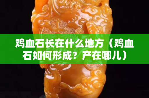 雞血石長在什么地方（雞血石如何形成？產在哪兒）