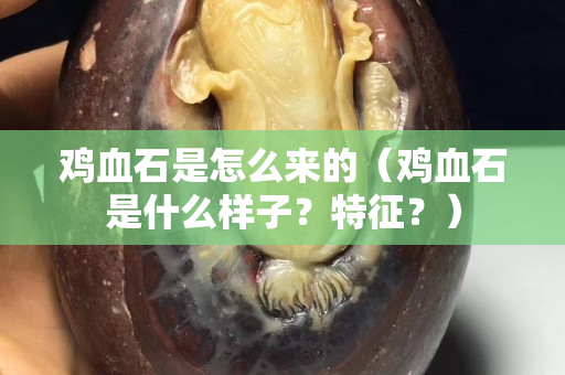 雞血石是怎么來的（雞血石是什么樣子？特征？）