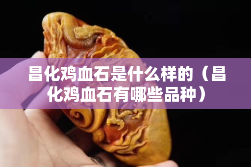 昌化雞血石是什么樣的（昌化雞血石有哪些品種）