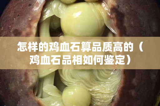 怎樣的雞血石算品質高的（雞血石品相如何鑒定）