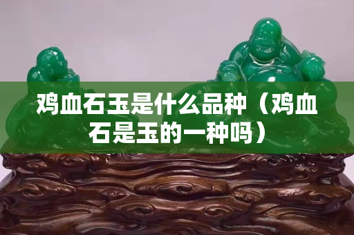 雞血石玉是什么品種（雞血石是玉的一種嗎）