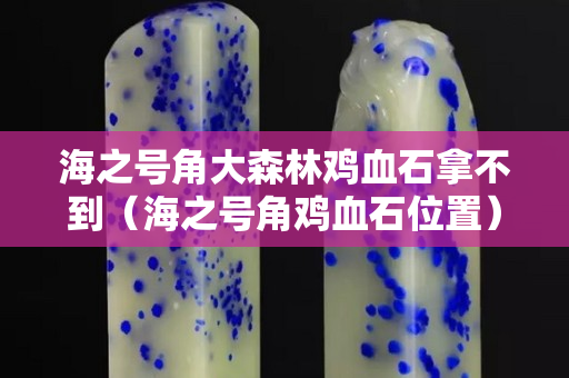 海之號角大森林雞血石拿不到（海之號角雞血石位置）
