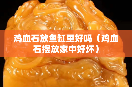 雞血石放魚缸里好嗎（雞血石擺放家中好壞）