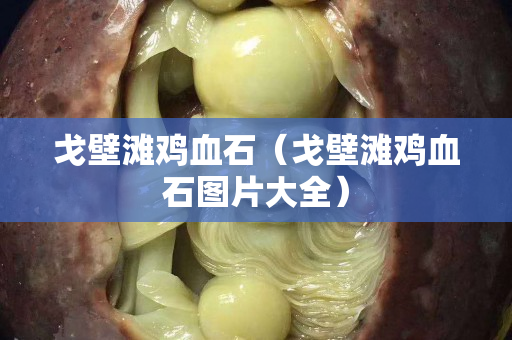 戈壁灘雞血石（戈壁灘雞血石圖片大全）