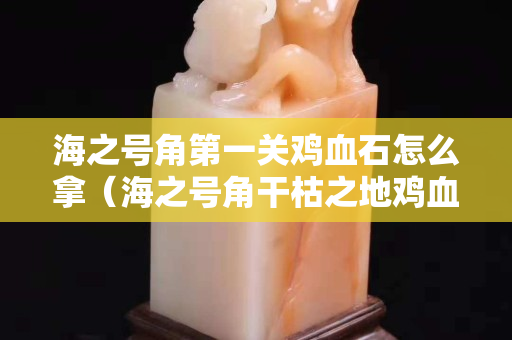 海之號角第一關雞血石怎么拿（海之號角干枯之地雞血石拿不了）