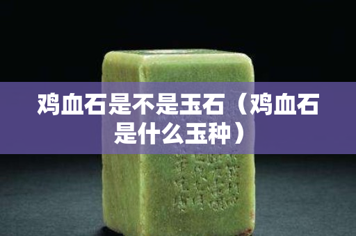 雞血石是不是玉石（雞血石是什么玉種）