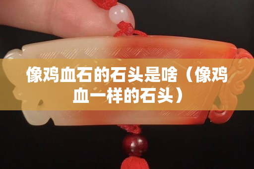 像雞血石的石頭是啥（像雞血一樣的石頭）