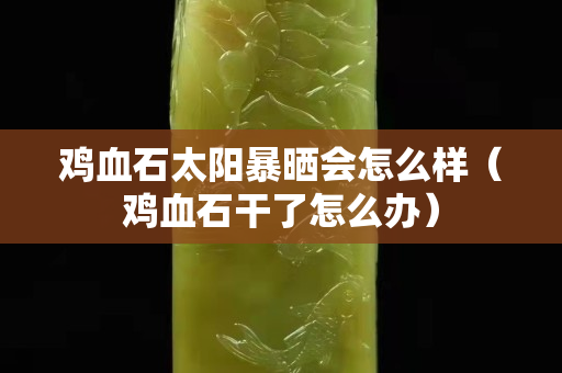 雞血石太陽暴曬會怎么樣（雞血石干了怎么辦）