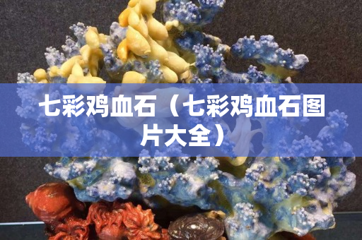 七彩雞血石（七彩雞血石圖片大全）