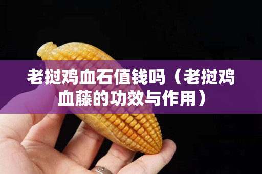 老撾雞血石值錢(qián)嗎（老撾雞血藤的功效與作用）