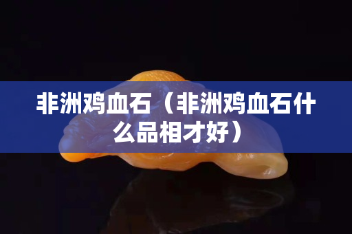 非洲雞血石（非洲雞血石什么品相才好）