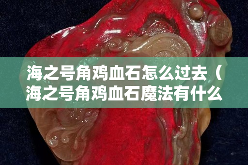 海之號角雞血石怎么過去（海之號角雞血石魔法有什么用）