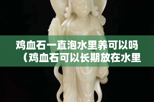 雞血石一直泡水里養(yǎng)可以嗎（雞血石可以長期放在水里嗎）