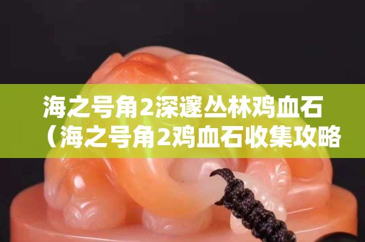 海之號角2深邃叢林雞血石（海之號角2雞血石收集攻略）