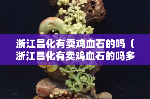 浙江昌化有賣雞血石的嗎（浙江昌化有賣雞血石的嗎多少錢）