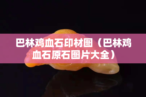 巴林雞血石印材圖（巴林雞血石原石圖片大全）