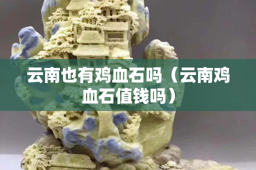 云南也有雞血石嗎（云南雞血石值錢嗎）