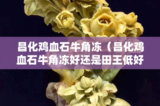 昌化雞血石牛角凍（昌化雞血石牛角凍好還是田王低好）