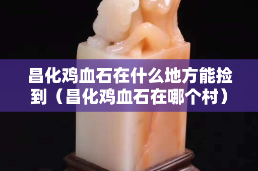 昌化雞血石在什么地方能撿到（昌化雞血石在哪個村）