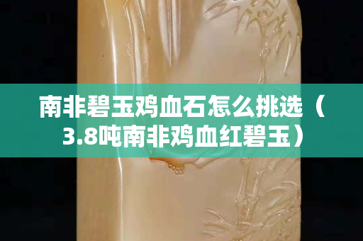 南非碧玉雞血石怎么挑選（3.8噸南非雞血紅碧玉）