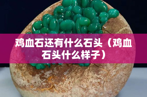 雞血石還有什么石頭（雞血石頭什么樣子）