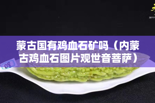 蒙古國有雞血石礦嗎（內蒙古雞血石圖片觀世音菩薩）