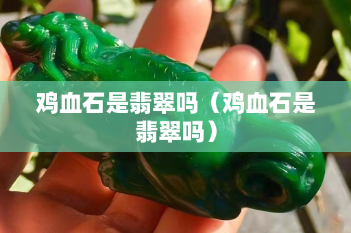 雞血石是翡翠嗎（雞血石是翡翠嗎）
