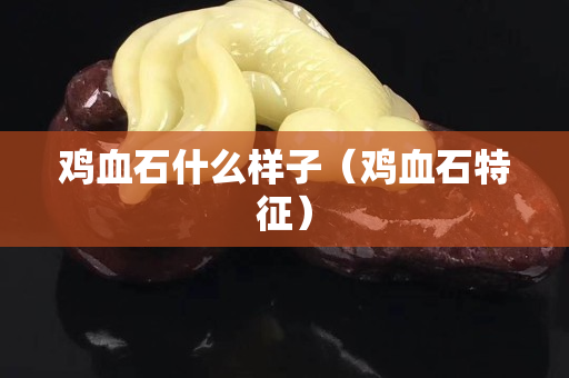 雞血石什么樣子（雞血石特征）
