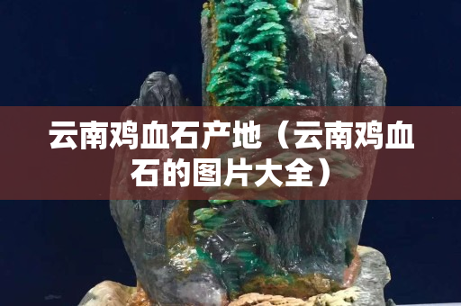 云南雞血石產(chǎn)地（云南雞血石的圖片大全）