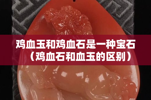 雞血玉和雞血石是一種寶石（雞血石和血玉的區別）
