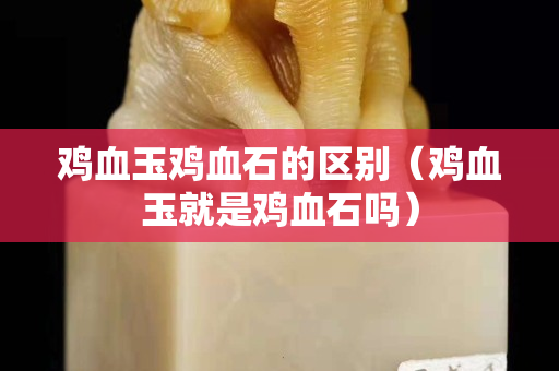 雞血玉雞血石的區別（雞血玉就是雞血石嗎）