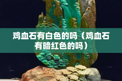 雞血石有白色的嗎（雞血石有暗紅色的嗎）