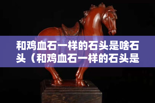 和雞血石一樣的石頭是啥石頭（和雞血石一樣的石頭是啥石頭啊）