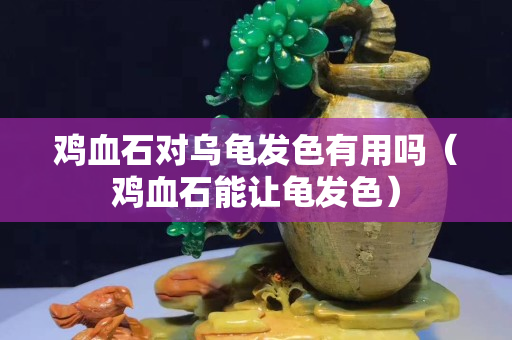 雞血石對烏龜發色有用嗎（雞血石能讓龜發色）